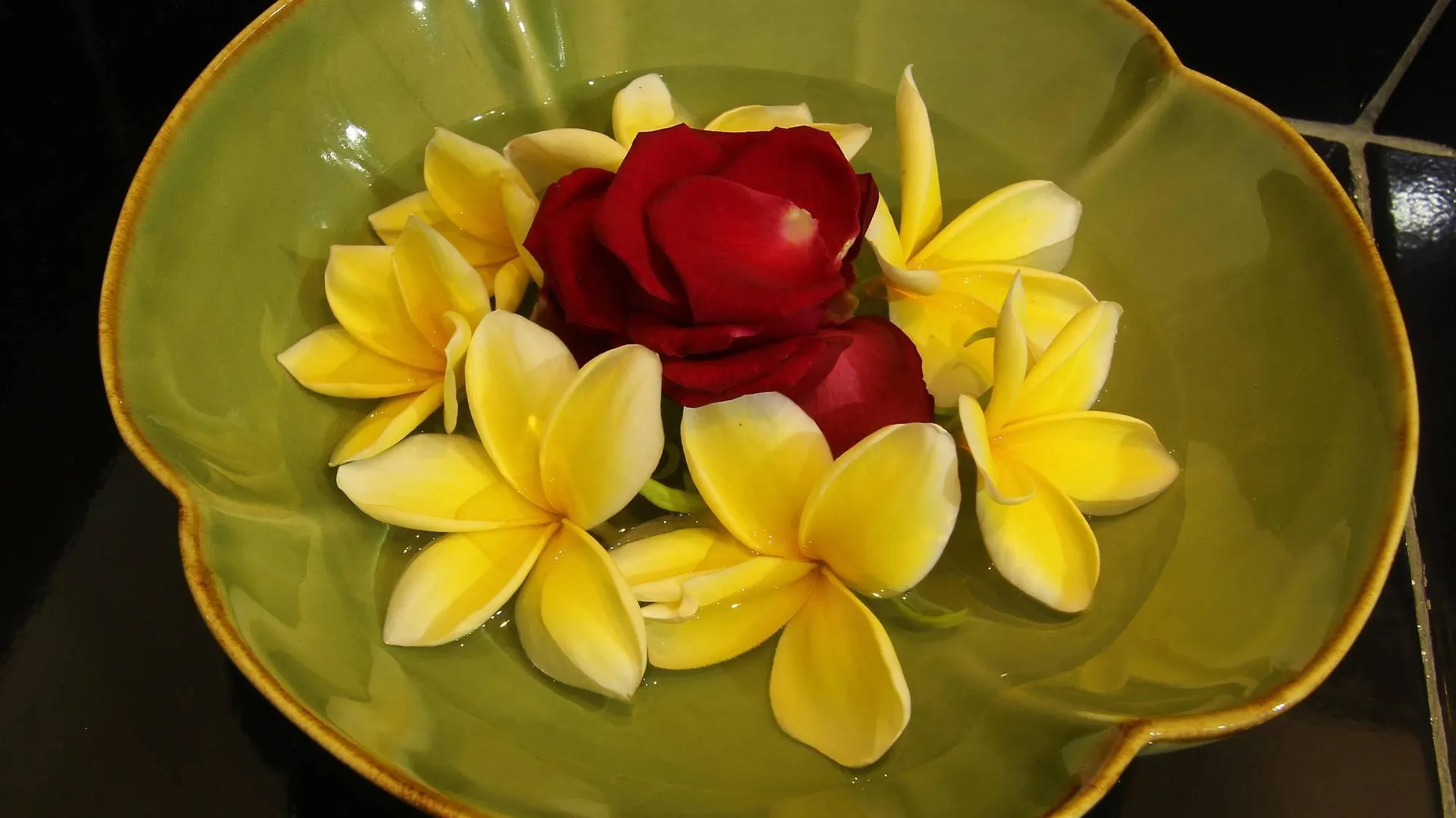 Frühstückspension Frangipani Homestay Nusa Dua